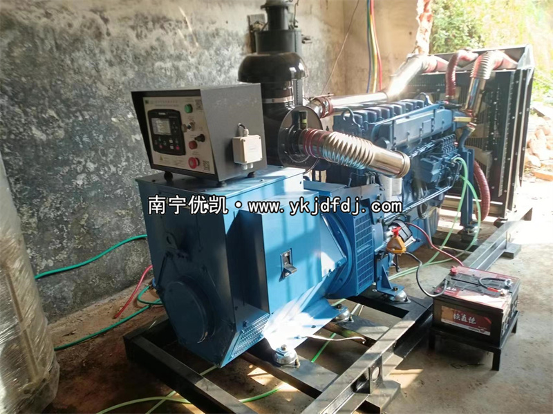2024年3月5日，200kw濰坊雷納發(fā)電機(jī)組某學(xué)校到貨安裝