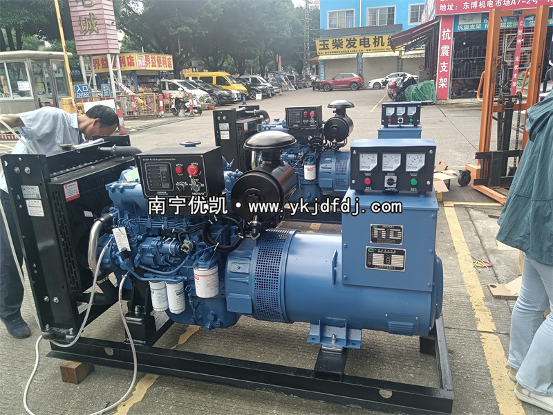 2024年5月31日，兩臺50KW玉柴發(fā)電機(jī)組試機(jī)發(fā)貨南寧某養(yǎng)殖場